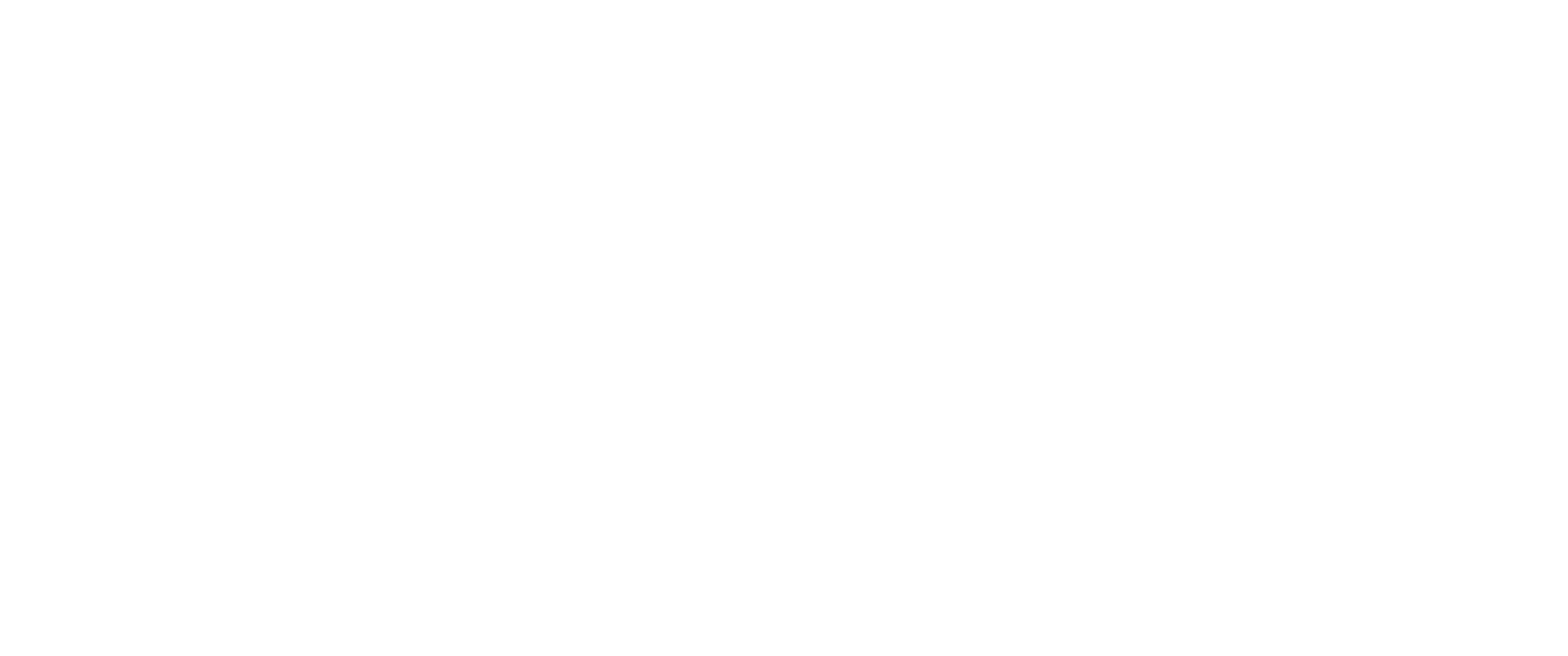 Descent Supply